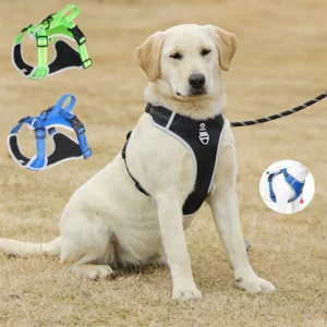Arnés de pecho para perros medianos y grandes, chaleco reflectante con correa, malla transpirable, conjunto de artículos